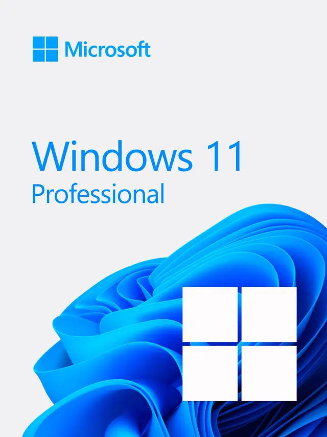 Windows 11 Professional OEM Key